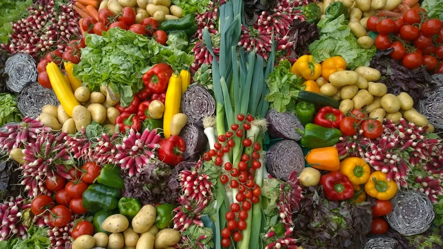 صندوق حمضيات